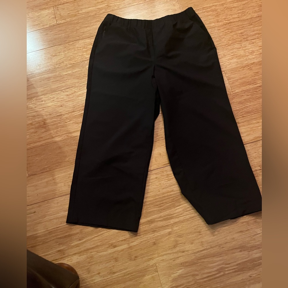 Lane Bryant Women’s Elegant Black Dress Pants